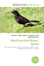 Black-backed Water-tyrant