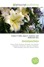 Amelanchier