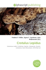 Crotalus Lepidus