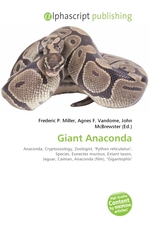 Giant Anaconda