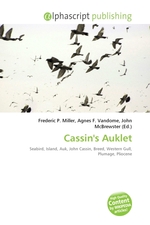 Cassins Auklet