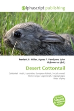 Desert Cottontail