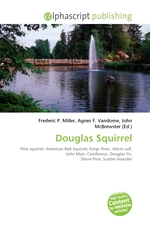 Douglas Squirrel