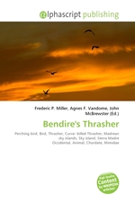 Bendires Thrasher