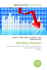 Ancillary Statistic