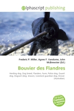 Bouvier des Flandres