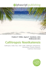 Callitropsis Nootkatensis