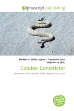 Coluber Constrictor