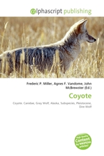 Coyote