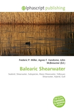 Balearic Shearwater