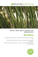 Bamboo