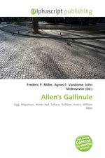 Allens Gallinule
