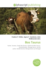 Bos Taurus