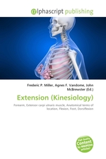 Extension (Kinesiology)