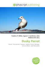 Dusky Parrot