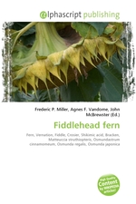 Fiddlehead fern