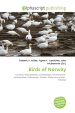 Birds of Norway