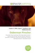 Doberman Pinscher