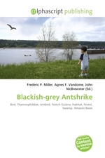 Blackish-grey Antshrike