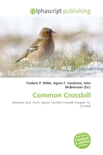 Common Crossbill