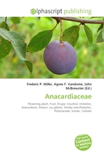 Anacardiaceae