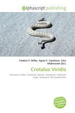 Crotalus Viridis