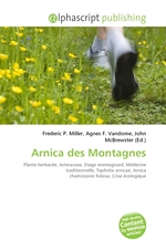 Arnica des Montagnes