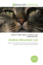 Andean Mountain Cat