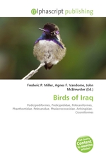 Birds of Iraq