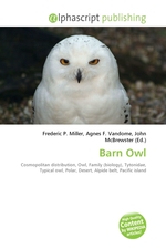 Barn Owl