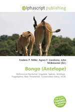 Bongo (Antelope)