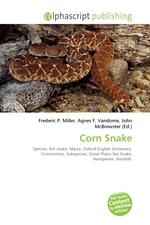 Corn Snake