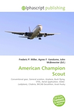 American Champion Scout