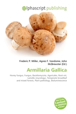 Armillaria Gallica