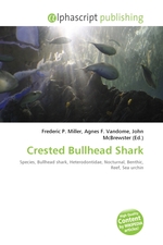 Crested Bullhead Shark