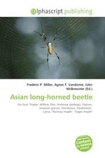 Asian long-horned beetle