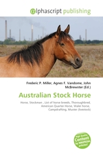 Australian Stock Horse