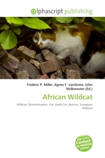 African Wildcat