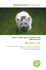 Bicolor Cat