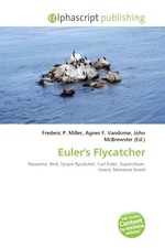 Eulers Flycatcher