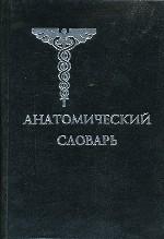 Анатомический словарь. Русско-беларусско-латинский