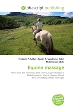 Equine massage