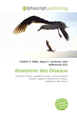 Anatomie des Oiseaux