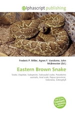 Eastern Brown Snake