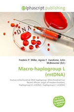 Macro-haplogroup L (mtDNA)