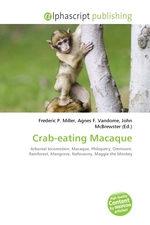 Crab-eating Macaque