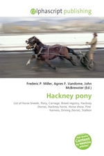 Hackney pony