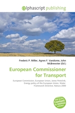 European Commissioner for Transport