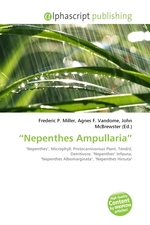 “Nepenthes Ampullaria”