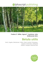 Betula utilis